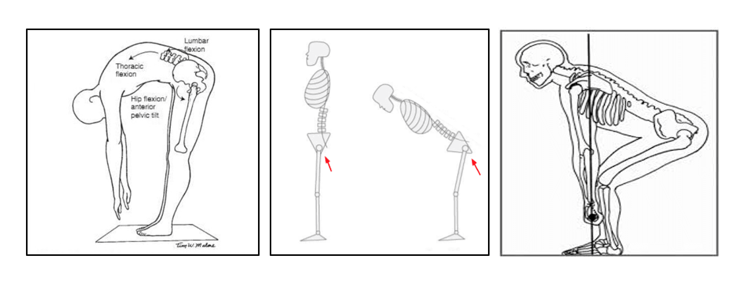 Hip Hinge Explained At Guillermo Wilbur Blog Hip Hinge Explained At Guillermo Wilbur Blog