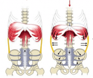 Diaphragmatic breathing