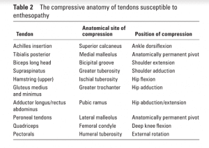 Stop Stretching for Tendinopathy | Rehab-U BLOG